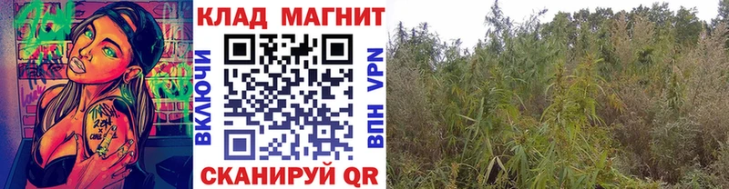 Купить наркотик Поворино МДМА Cocaine A-PVP Псилоцибиновые грибы Меф мяу мяу Гашиш