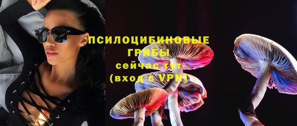 гашик Сосновоборск