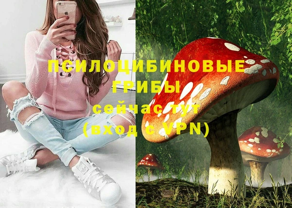 крисы Сосновка
