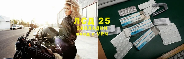 ПСИЛОЦИБИНОВЫЕ ГРИБЫ Вяземский