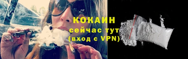 крисы Сосновка