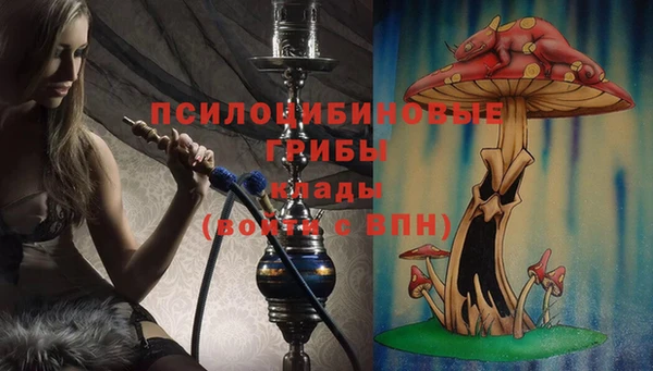 ПСИЛОЦИБИНОВЫЕ ГРИБЫ Вяземский