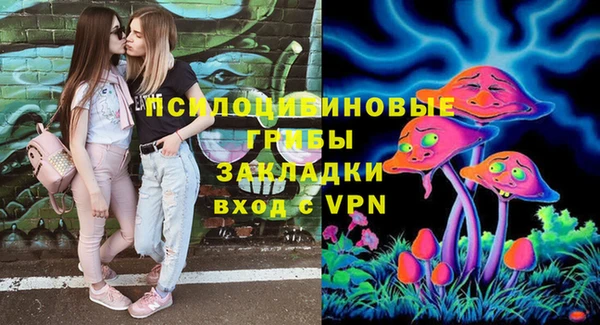 гашик Сосновоборск